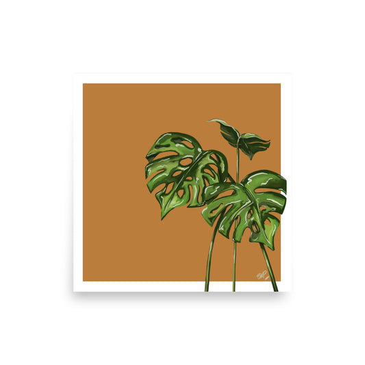 House Plant | 4 - Wall Art Print