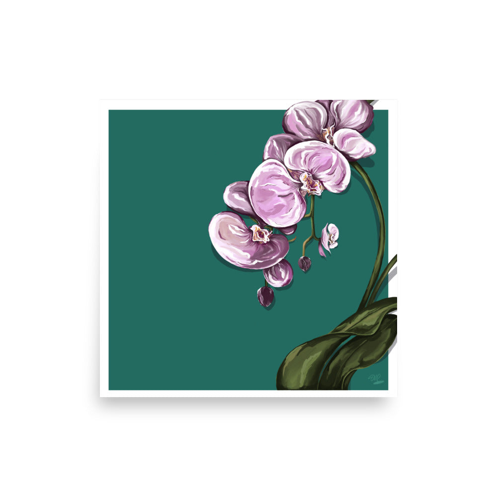 House Plant | 3 - Wall Art Print