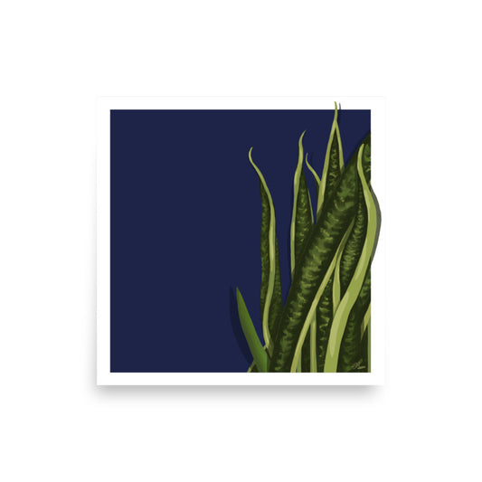 House Plant | 2 - Wall Art Print